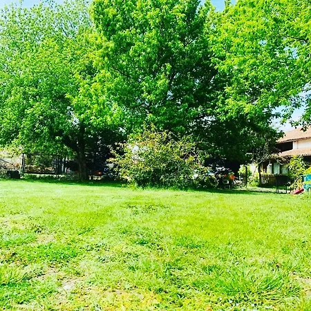 Agriturismo La Pace בית חווה וליג'יו סול מיניציו