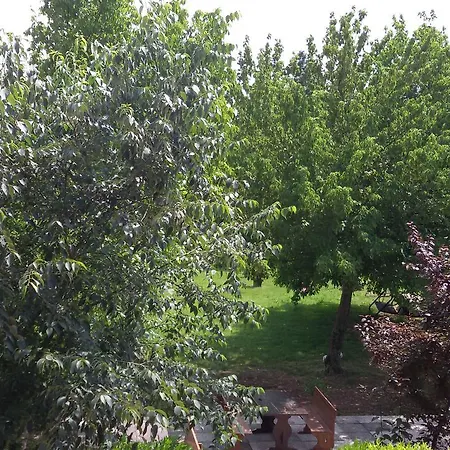 Agriturismo La Pace וליג'יו סול מיניציו