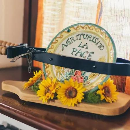 Agriturismo La Pace Фермерский дом *